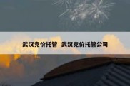 武汉竞价托管  武汉竞价托管公司