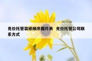 竞价托管装修顺序图片表  竞价托管公司联系方式