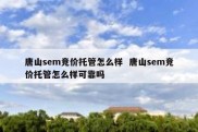 唐山sem竞价托管怎么样  唐山sem竞价托管怎么样可靠吗