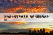 湖南竞价托管专业定制  竞价托管服务多少钱