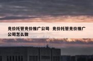 竞价托管竞价推广公司  竞价托管竞价推广公司怎么做