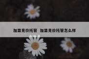 加盟竞价托管  加盟竞价托管怎么样