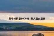 新号如何涨1000粉  新人怎么涨粉