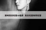 郑州竞价托管小程序  竞价托管如何托管