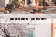 涨粉1000的挑战（涨粉如何赚钱）