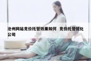 沧州网站竞价托管效果如何  竞价托管优化公司