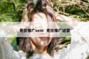 竞价推广sem  竞价推广运营