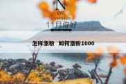 怎样涨粉  如何涨粉1000