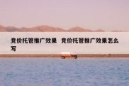 竞价托管推广效果  竞价托管推广效果怎么写
