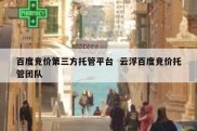 百度竞价第三方托管平台  云浮百度竞价托管团队