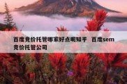 百度竞价托管哪家好点呢知乎  百度sem竞价托管公司