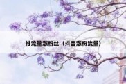 推流量涨粉丝（抖音涨粉流量）