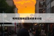 鸭鸭短视频运营的简单介绍