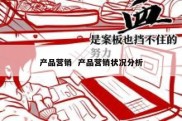 产品营销  产品营销状况分析