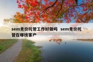 sem竞价托管工作好做吗  sem竞价托管在哪找客户