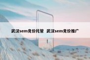 武汉sem竞价托管  武汉sem竞价推广