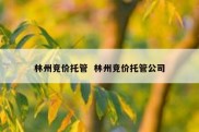 林州竞价托管  林州竞价托管公司