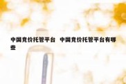中国竞价托管平台  中国竞价托管平台有哪些