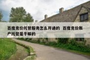 百度竞价托管服务怎么开通的  百度竞价账户托管是干嘛的