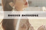 西城竞价托管  西城竞价托管电话