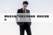 朝阳竞价推广托管公司有哪些  朝阳托管图片