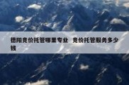 德阳竞价托管哪里专业  竞价托管服务多少钱