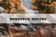 搜狗竞价托管公司  搜狗竞价排名