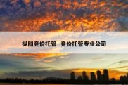 枞阳竞价托管  竞价托管专业公司