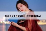 粉丝怎么快速破1000（粉丝如何到1w）