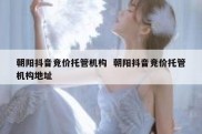 朝阳抖音竞价托管机构  朝阳抖音竞价托管机构地址
