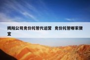 揭阳公司竞价托管代运营  竞价托管哪家便宜