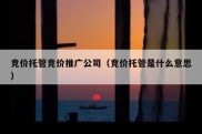 竞价托管竞价推广公司（竞价托管是什么意思）