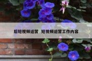 后短视频运营  短视频运营工作内容