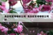 竞价托管用哪些公司  竞价托管用哪些公司好
