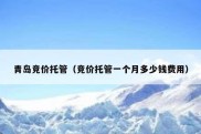 青岛竞价托管（竞价托管一个月多少钱费用）