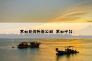 紫云竞价托管公司  紫云平台