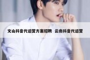 文山抖音代运营方案招聘  云南抖音代运营