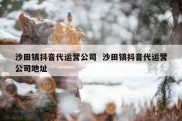 沙田镇抖音代运营公司  沙田镇抖音代运营公司地址
