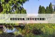 竞价托管效果（竞价托管效果图）