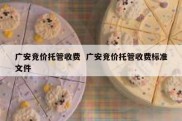 广安竞价托管收费  广安竞价托管收费标准文件
