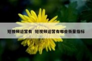 短视频运营有  短视频运营有哪些衡量指标