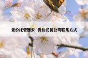 竞价托管西安  竞价托管公司联系方式