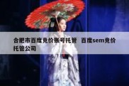合肥市百度竞价账号托管  百度sem竞价托管公司