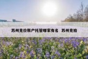 苏州竞价账户托管哪家有名  苏州竞拍