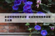 企业短视频搜索运营  企业短视频搜索运营怎么做