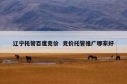 辽宁托管百度竞价  竞价托管推广哪家好