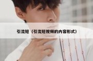 引流短（引流短视频的内容形式）