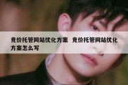 竞价托管网站优化方案  竞价托管网站优化方案怎么写
