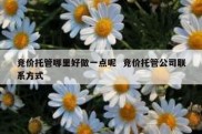 竞价托管哪里好做一点呢  竞价托管公司联系方式