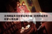 沧州网站竞价托管公司介绍  沧州网站竞价托管公司介绍